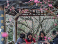五彩梅园开启春季乡村旅游季
