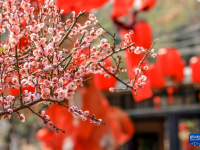 花开春意浓

