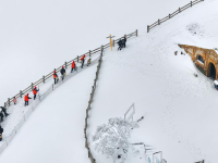 白雪却嫌春色晚
