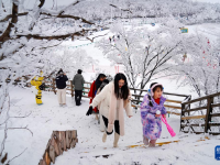 白雪却嫌春色晚
