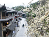 踏青赏花享春光
