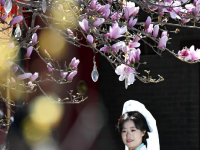 春暖赏花正当时

