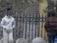 黑龙江多地降雪
