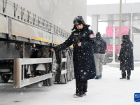 黑龙江多地降雪
