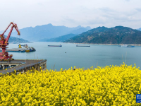 踏青赏花享春光
