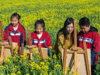春暖赏花正当时

