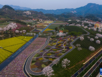 美丽乡村开启“春日花朝节”
