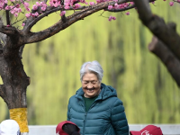 西安：梅红柳绿春色至
