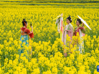 踏青赏花享春光
