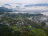 云海古村春光美
