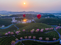 美丽乡村开启“春日花朝节”
