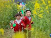 踏青赏花享春光
