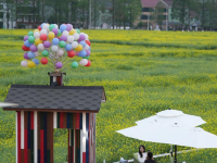 浙江桐庐：油菜花开引客来
