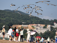 辽宁大连：海滨消暑
