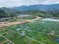 四川安宁河谷：夏日田园美如画
