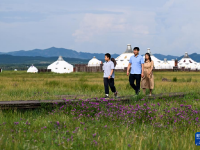 敕勒川草原引客来

