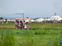敕勒川草原引客来
