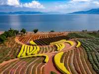 飞阅中国丨秋日抚仙湖
