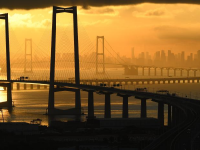 伶仃长虹沐晨曦
