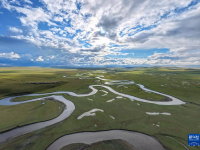 美丽中国丨秋染陈巴尔虎草原
