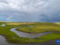 美丽中国丨秋染陈巴尔虎草原
