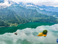 美丽中国丨重庆黔江：小南海湿地自然保护区秋景如画
