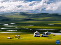 美丽中国丨秋染陈巴尔虎草原
