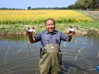 内蒙古准格尔旗：盐碱地变生态观光园
