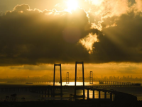 伶仃长虹沐晨曦
