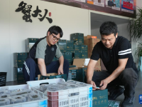 浙江：三门湾青蟹迎丰收
