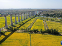 内蒙古准格尔旗：盐碱地变生态观光园
