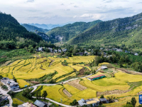 重庆黔江：武陵山乡迎丰收
