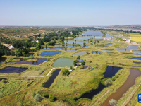 内蒙古准格尔旗：盐碱地变生态观光园
