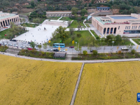 金色南泥湾 “陕北好江南”
