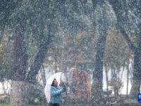 黑龙江：雪中即景
