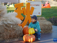北京：永定河畔享周末

