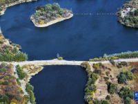 哈尔滨湿地秋韵美
