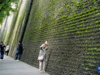 西安城墙：“苔痕上阶绿”
