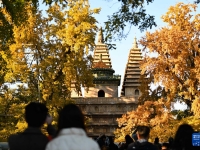 北京：金彩五塔寺
