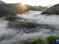 安徽黟县：山村竹海 宛若仙境
