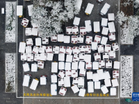 黑龙江：雪中即景
