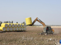 新疆：棉海丰收忙
