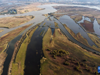 哈尔滨湿地秋韵美
