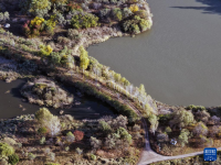 哈尔滨湿地秋韵美
