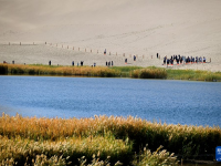 甘肃敦煌：大漠秋景
