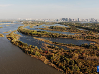 哈尔滨湿地秋韵美
