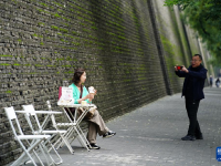 西安城墙：“苔痕上阶绿”
