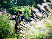 昔日盐碱地 秋日绽斑斓
