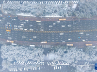 黑龙江：雪中即景
