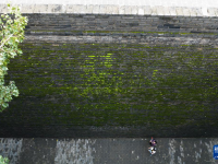 西安城墙：“苔痕上阶绿”
